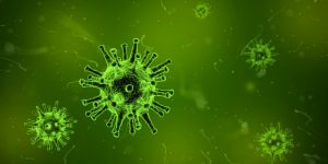 virus photo